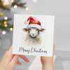 Fun Christmas Card of a Sheep Wearing A Santa Hat Whimsical Watercolour Christmas Card For Animal Lover For Him or Her - Square (5.5x5.5) / Blank Inside