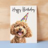 Birthday Card For Her Card For Friend Mum or Sister Birthday Card For Him Brother Dad Happy Birthday Card of Poodle Dog Fun Birthday Card - Small (4x6) / Blank Message