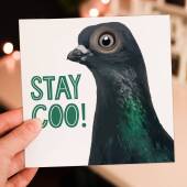 Funny pigeon, bird stay cool birthday card for children, child, boy, girl, grandson, granddaughter: Stay coo! (Size A6/A5/A4/Square 6x6")
