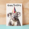 Birthday Card For Him or Her Fun Birthday Card of A Koala Happy Birthday Card For Mum, Dad, Sister Brother - Small (4x6) / Blank Message