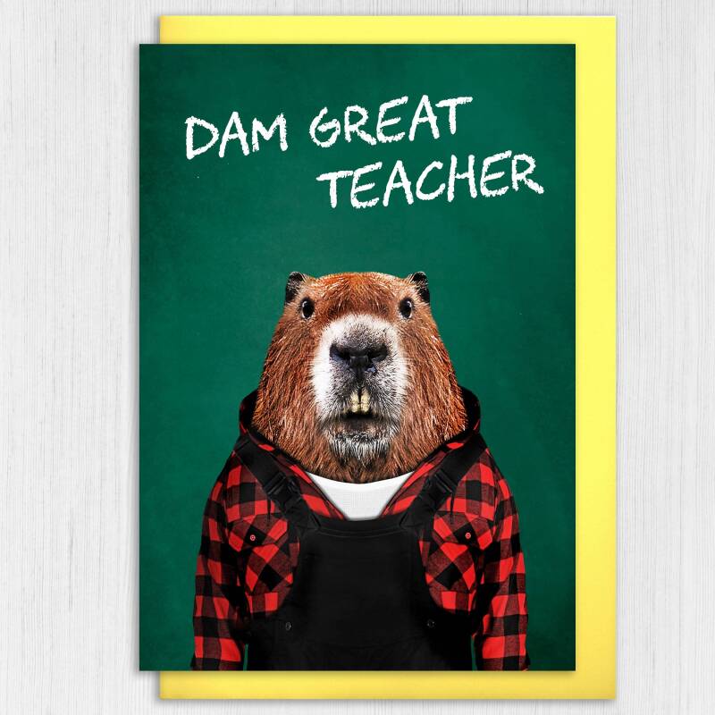 Dam, damn great teacher beaver in clothes teacher gratitude, school, education thank you card (Animalyser) (Size A6/A5/A4/Square 6x6") - A6: Single card