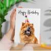 Birthday Card For Her Card For Friend Mum or Sister Birthday Card For Him Brother Dad Happy Birthday Card of Chow Chow Dog Fun Birthday Card - Small (4x6) / Blank Message