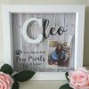 Personalised pet loss box frame, dog loss frame, dog memorial frame - No crystals - Without lights