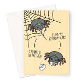 Funny Spider Web Birthday Card