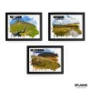 Yorkshire Three Peaks Set Of 3 Art Prints - Whernside, Ingleborough, Pen-Y-Ghent,Landscape Art, Three Peaks Challenge,Travel Poster,Hiking - A6