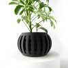 The Amada Planter Pot with Drainage Tray & Stand for Plants - Black - 3"