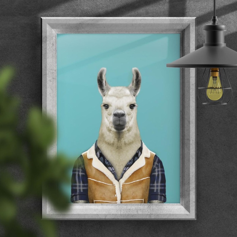 Llama in clothes, animal print, wall art - A5 - Glossy - White wood