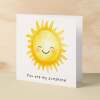 Anniversary Card Or Birthday Card For Boyfriend or Girlfriend You Are My Sunshine Cute Card For Wife Love Card For Husband - Square (6x6) / Blank Message