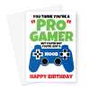 Funny Birthday Card For Video Gamer - Pro Gamer Noob - A5 Portrait - 1 Card