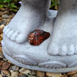 Brecciated Jasper stone