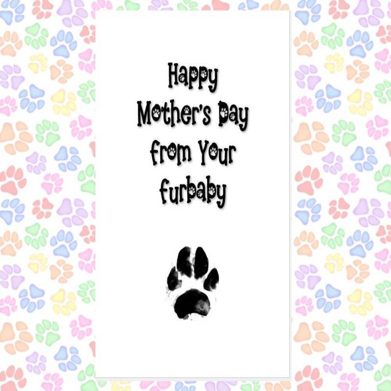 MOTHER'S DAY card from the dog, card from 2 dogs, funny mother's day card, card from dogs, happy mother's day from your furbaby, furbabies - 1