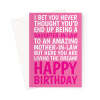 Funny Greeting Card For Daughter-In-Law - A5 Portrait - 1 Card