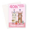 Funny 40th Birthday Card For Woman - Llama Pun - A5 Portrait - 1 Card