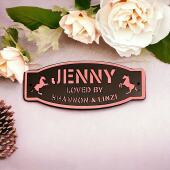 Horse stable name plaque, pony stable name plaque, personalised door plaques, mirror, matt, modern stable door plaques