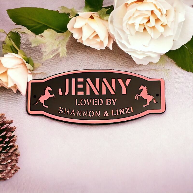 Horse stable name plaque, pony stable name plaque, personalised door plaques, mirror, matt, modern stable door plaques - Matt black - Mirror Silver