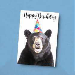 Birthday Card For Him or Her Fun Birthday Card of A Black Bear Happy Birthday Card For Mum, Dad, Sister Brother - Small (4x6) / Blank Message