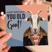 Happy birthday you old goat funny goat in clothes birthday card for old person, old lady, old man (Animalyser) (Size A6/A5/A4/Square 6x6")