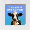 I've herd you're an expert in your field funny cow, farm animal, pun congratulations, graduation, well done card (Size A6/A5/A4/Square 6x6") - A6: Single card