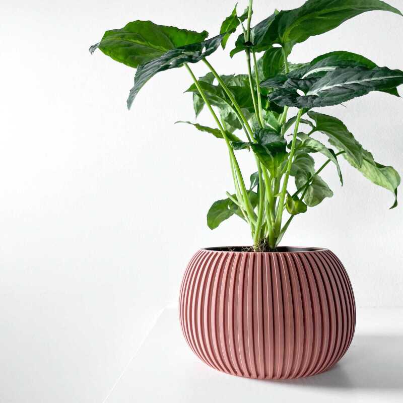 The Surno Planter Pot with Drainage Tray & Stand Included - Matte Dark Green - 3"