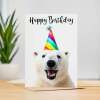 Birthday Card For Him or Her Fun Birthday Card of A Polar Bear Happy Birthday Card For Mum, Dad, Sister Brother - Small (4x6) / Blank Message