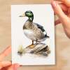 Duck Notelet Card For Anyone Any Occasion Card For Her or For Him 5x7, A6 Card For Birthday or Easter Card Thank You Card Wildlife - Small (4x6) / Blank Message