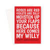 Rude Anniversary Card For Her - Moisten Your Flaps - A5 Portrait - 1 Card