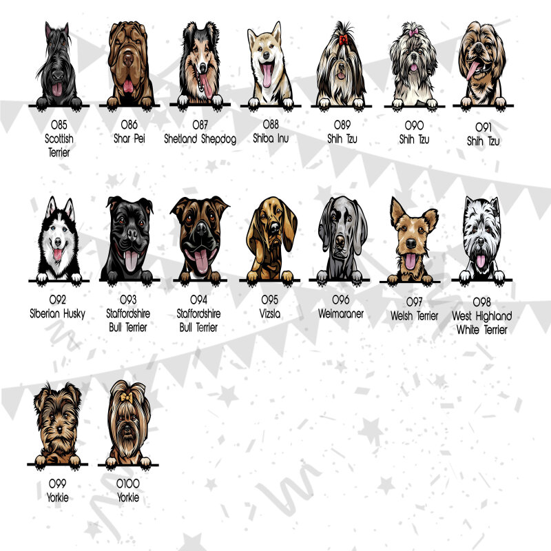 Personalised Dog Coaster - Gift From Dog - Secret Santa, Stocking Filler Any Dog, Christmas Stocking Filler Personalised Pet Gifts from Dog - Single Coaster