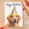 Birthday Card For Her Card For Friend Mum or Sister Birthday Card For Him Brother Dad Happy Birthday Card of Golden Retreiver Dog Fun Card - Small (4x6) / Blank Message