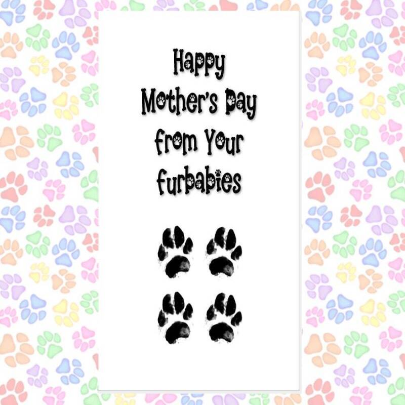 MOTHER'S DAY card from the dog, card from 2 dogs, funny mother's day card, card from dogs, happy mother's day from your furbaby, furbabies - 1