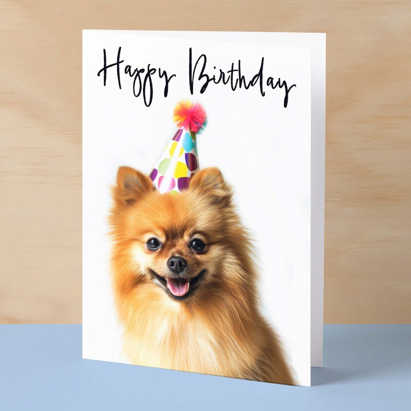 Birthday Card For Her Card For Friend Mum or Sister Birthday Card For Him Brother Dad Happy Birthday Card of Pomeranian Dog Birthday Card - Small (4x6) / Blank Message