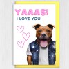 Yaaas! I love you Staffy Staffordshire Bull Terrier dog cute, funny anniversary card for wife, husband (Animalyser) Size A6/A5/A4/Square - A6: Single card