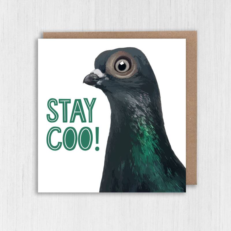 Funny pigeon, bird stay cool birthday card for children, child, boy, girl, grandson, granddaughter: Stay coo! (Size A6/A5/A4/Square 6x6") - A6: Single card