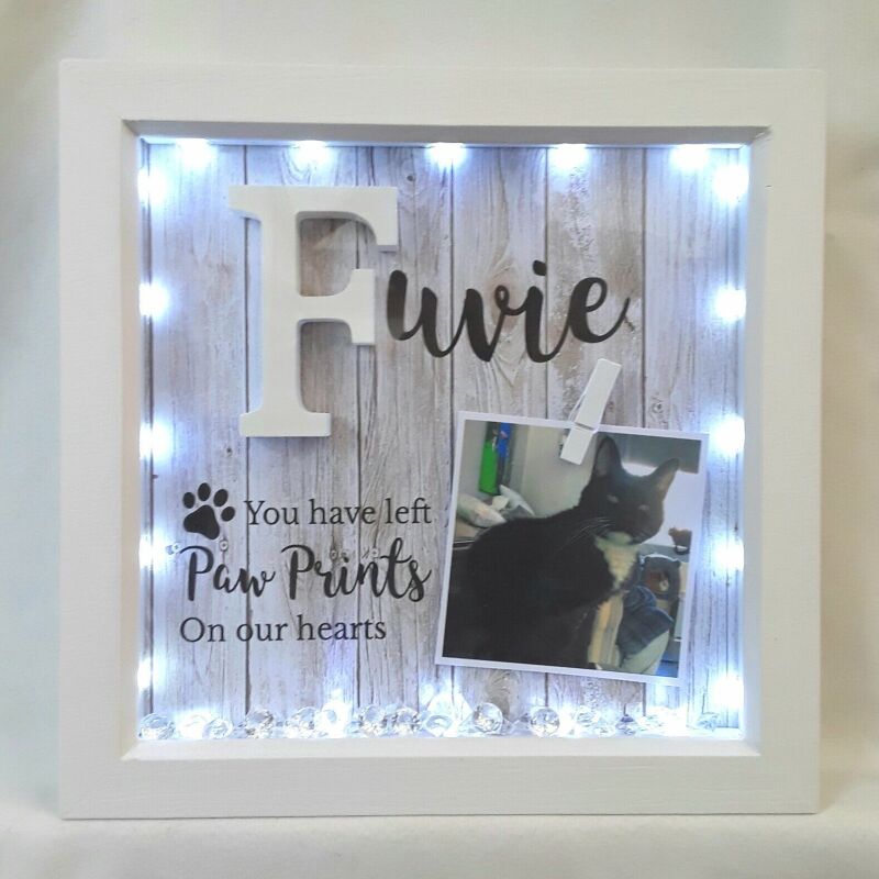 Personalised pet loss box frame,cat loss frame,cat memorial frame,dog loss frame - Without lights - Without  crystals