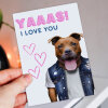 Yaaas! I love you Staffy Staffordshire Bull Terrier dog cute, funny anniversary card for wife, husband (Animalyser) Size A6/A5/A4/Square - A6: Single card