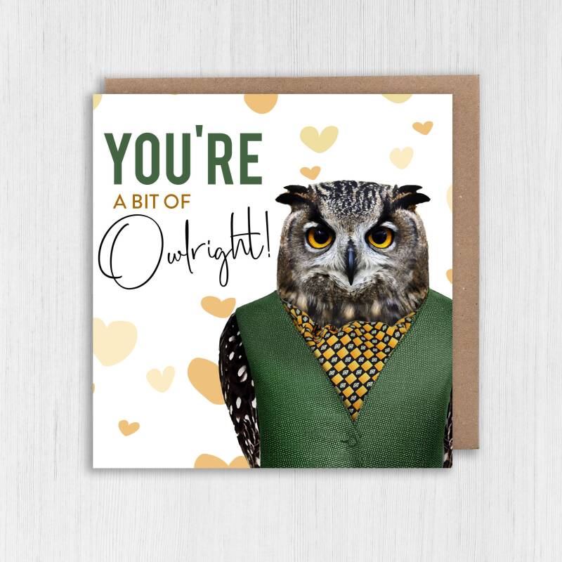 You're a bit of owlright owl in clothes Valentine’s Day card for wife, husband, boyfriend, girlfriend (Animalyser) Size A6/A5/A4/Square 6x6" - A6: Single card