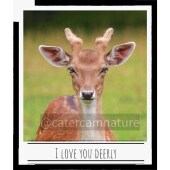 I Love You Deerly Card - Deer Love Birthday