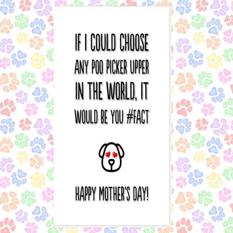MOTHER'S DAY card from the dog, card from 2 dogs, funny mother's day card, card from the dogs, favourite human, best dog mum, thank you etc - LICK BITS - 1 DOG