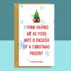 Funny Christmas Card - To Husband or Wife - From Wife - For Him or For Her - Cheeky - Sarcastic - Hilarious - Ideal Xmas Card - Large - Blank Inside