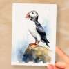 Puffin Notelet Card For Anyone Cute Any Occasion Card For Her or For Him 5x7, A6 Card For Birthday or Easter Card Thank You Card Wildlife - Small (4x6) / Blank Message