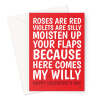 Rude Valentine's Day Card For Her - Moisten Your Flaps Here Comes Willy - A5 Portrait - 1 Card