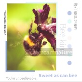 Friendship Card  - Be Kind Friends Bees Nature