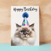 Birthday Card For Her Card For Friend Mum or Sister Birthday Card For Him Brother Dad Happy Birthday Card of Ragdoll Cat Fun Birthday Card - Small (4x6) / Blank Message