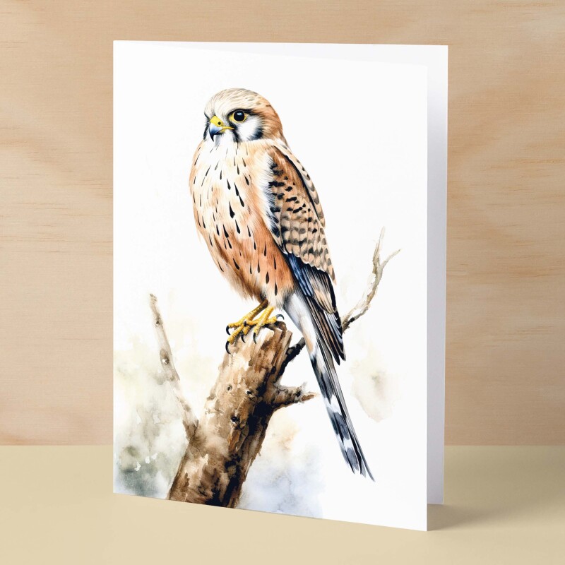 Kestrel Notelet Card For Anyone Any Occasion Card For Her or For Him 5x7, A6 Card For Birthday or Easter Card Thank You Card Wildlife - Small (4x6) / Blank Message