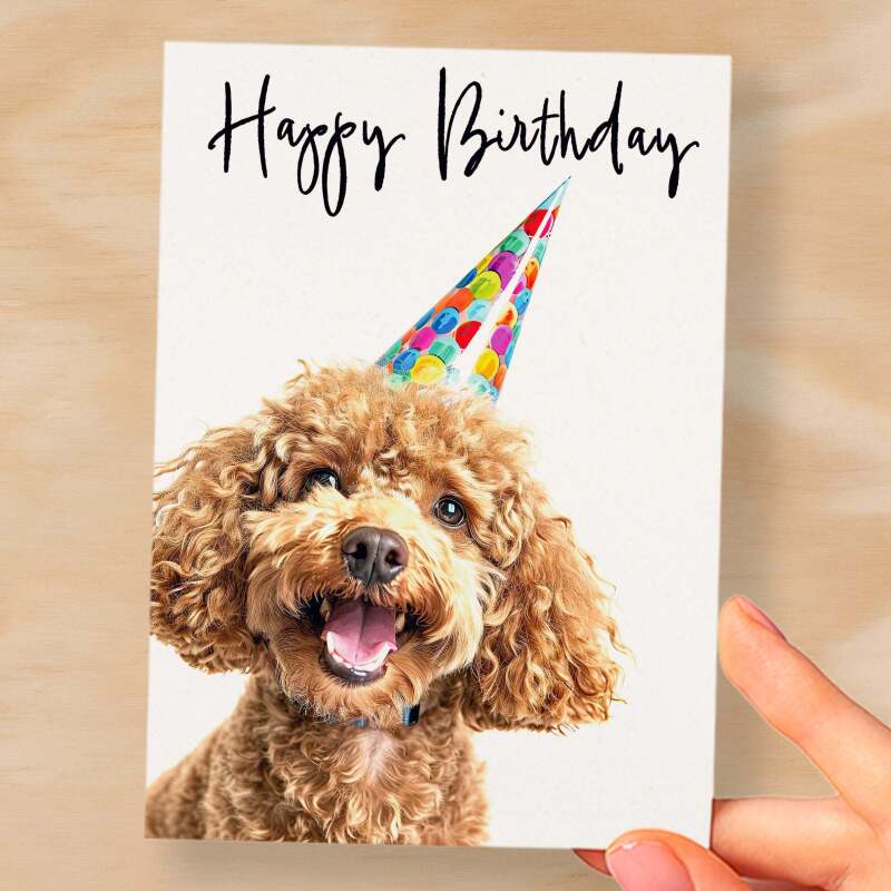 Birthday Card For Her Card For Friend Mum or Sister Birthday Card For Him Brother Dad Happy Birthday Card of Poodle Dog Fun Birthday Card - Small (4x6) / Blank Message