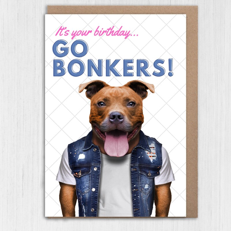 It's your birthday, go bonkers Staffy Staffordshire Bull Terrier dog, pet cute, funny birthday card (Animalyser) Size A6/A5/A4/Square - A6: Single card