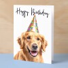 Birthday Card For Her Card For Friend Mum or Sister Birthday Card For Him Brother Dad Happy Birthday Card of Golden Retreiver Dog Fun Card - Small (4x6) / Blank Message