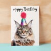 Birthday Card For Her Card For Friend Mum or Sister Birthday Card For Him Brother Dad Happy Birthday Card of Mainecoon Cat Fun Birthday Card - Small (4x6) / Blank Message