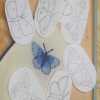 English Butterfly Stick and Stitch Washable Transfers, Peacock, Red Admiral, Orange Tip, Meadow Brown,  Common Blue, Painted Lady, Brimstone