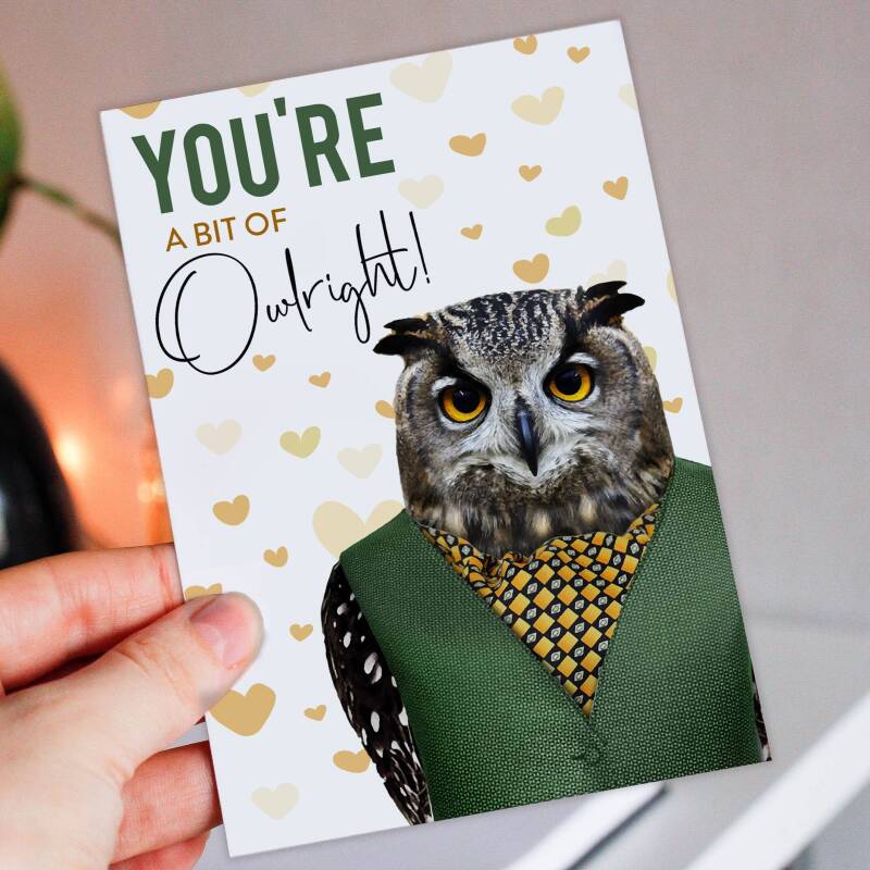 You're a bit of owlright owl, bird anniversary card for wife, husband, boyfriend, girlfriend (Animalyser) (Size A6/A5/A4/Square 6x6") - A6: Single card