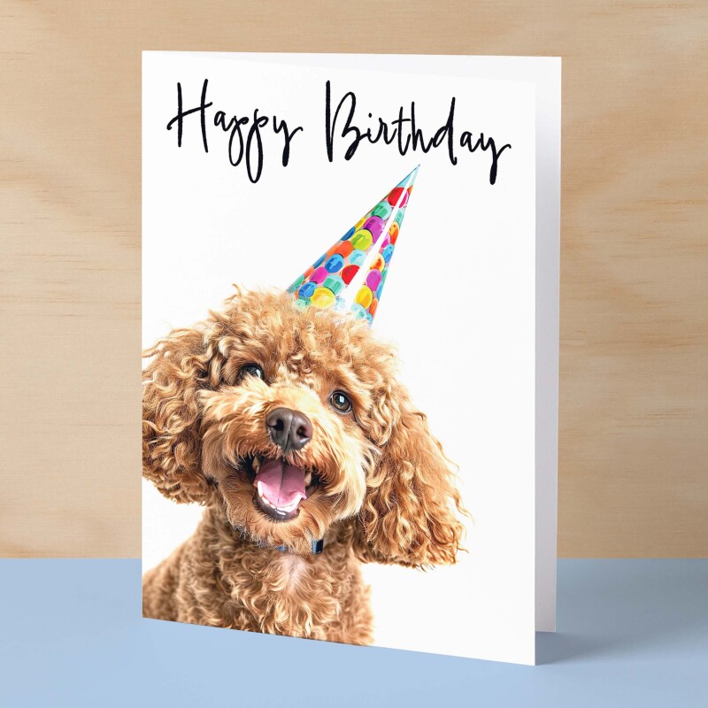 Birthday Card For Her Card For Friend Mum or Sister Birthday Card For Him Brother Dad Happy Birthday Card of Poodle Dog Fun Birthday Card - Small (4x6) / Blank Message